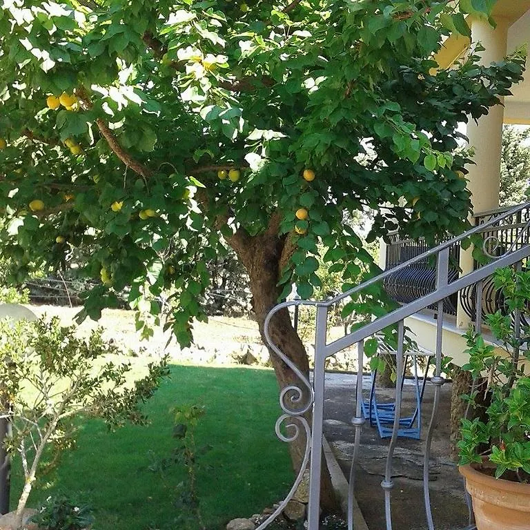 Bed & Breakfast Anna Rita Alghero B&B Fertilia